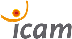 Icam Formation Professionnelle