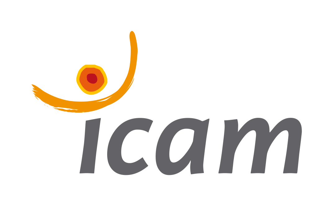 Icam Formation Professionnelle