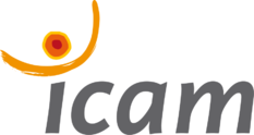 Icam Formation Professionnelle