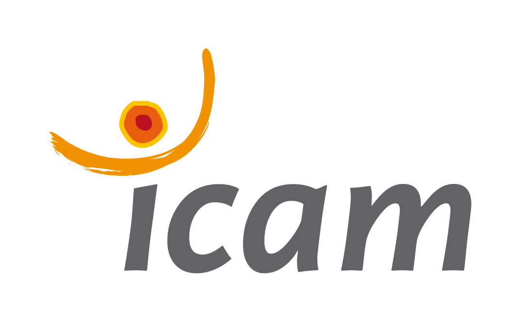 Icam Formation Professionnelle